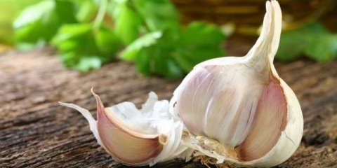 Kako čuvati beli luk da se ne osuši